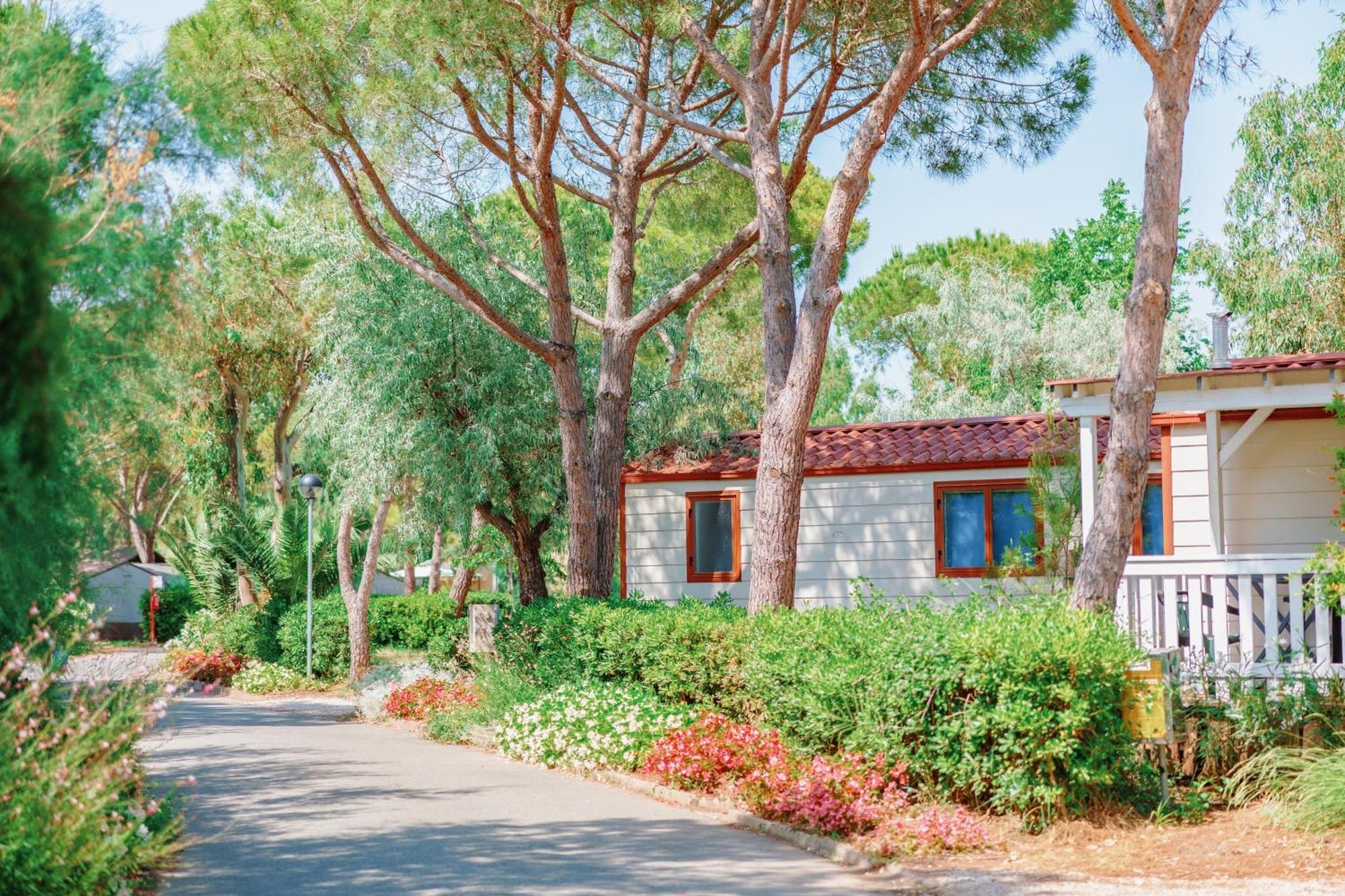Toscana Bella Camping Village Vada Buitenkant foto